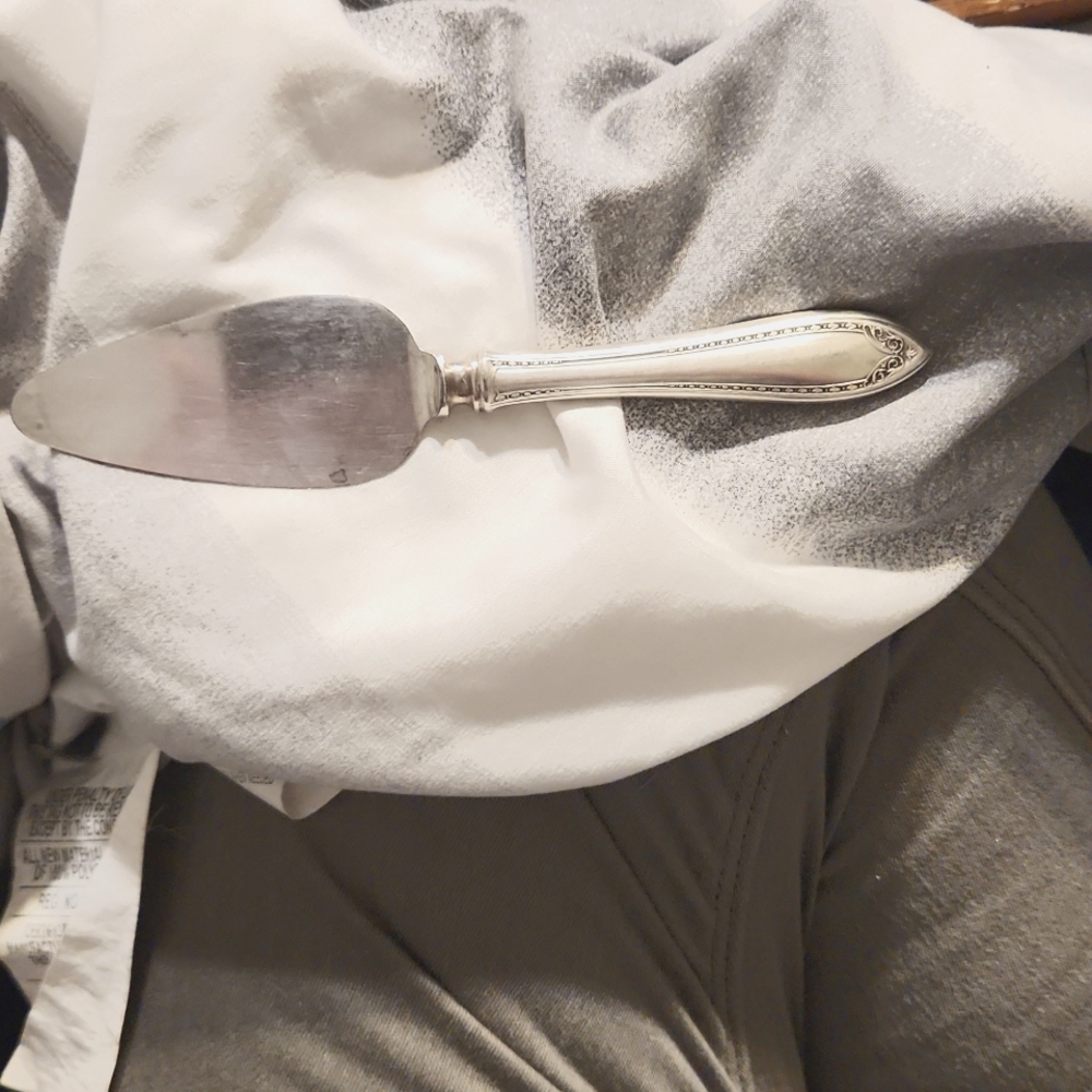 Sheraton Siverplate Cheese Server Community 1910